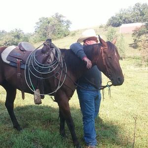 Meet your Posher, Brent